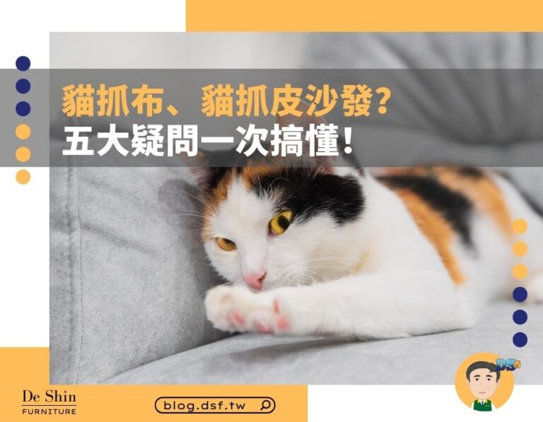 貓奴一定要買貓抓布沙發、貓抓皮沙發嗎？優點、價格、規格、清潔保養 5 大疑問一次看懂